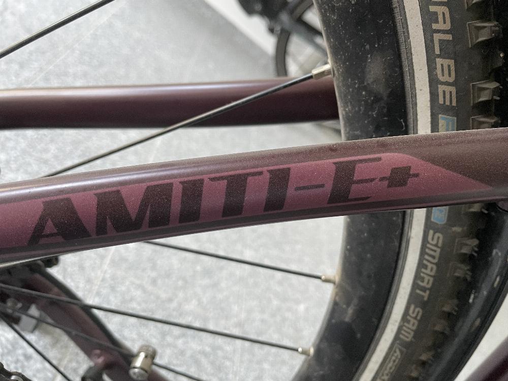 Fahrrad verkaufen GIANT Liv Amiti-E+1 LTD Ankauf